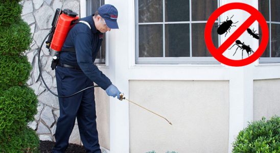 Büyükçekmece Haşere İlaçlama böcek ilaçlama ve haşere kontrolü — ilaclama-tr.com